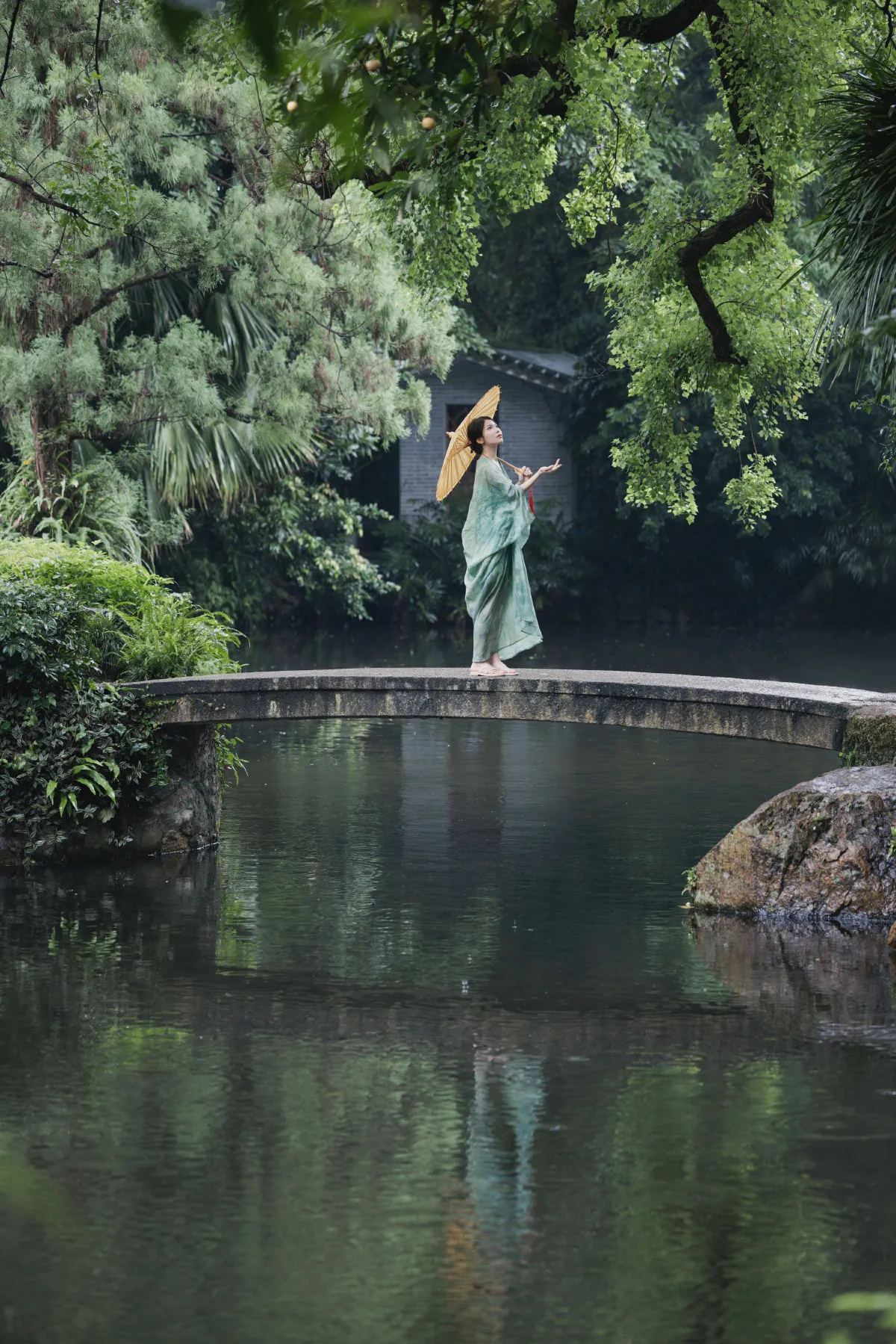 雨天馈赠