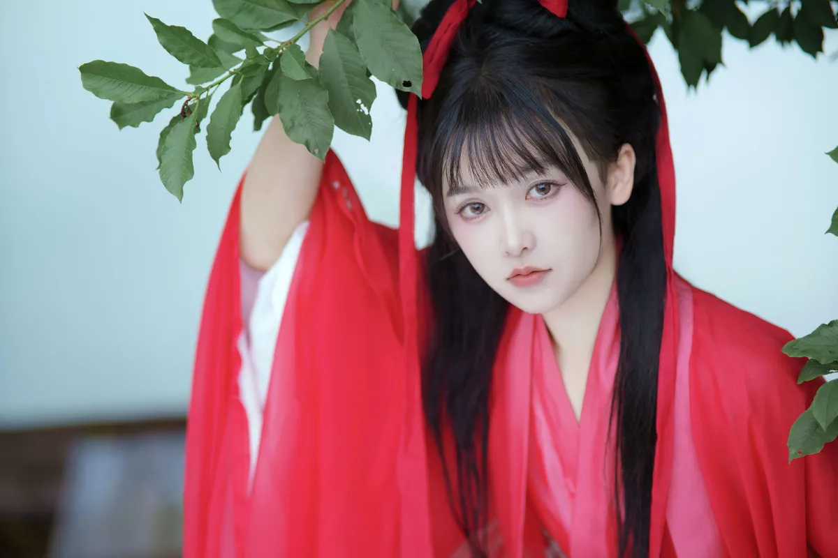 林花谢了春红3