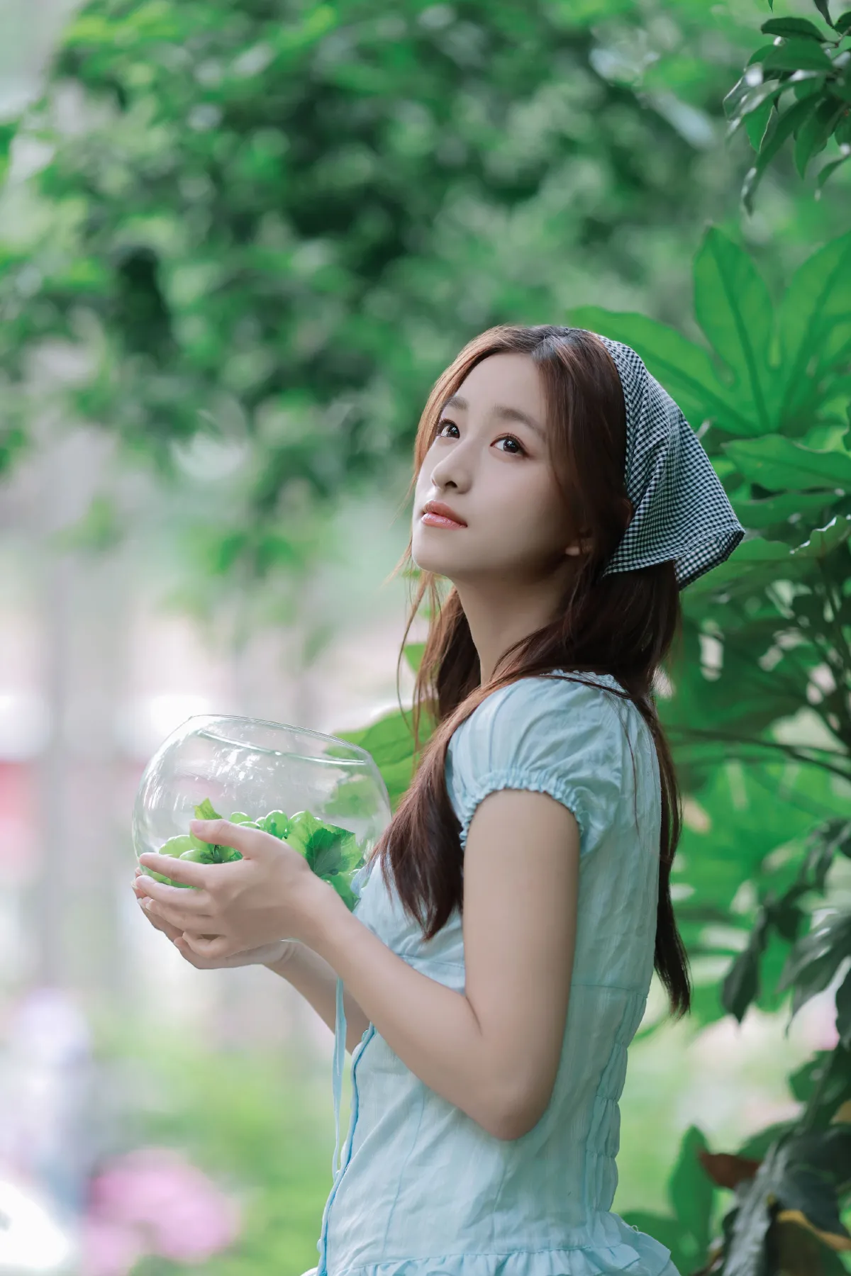 阴凉夏日