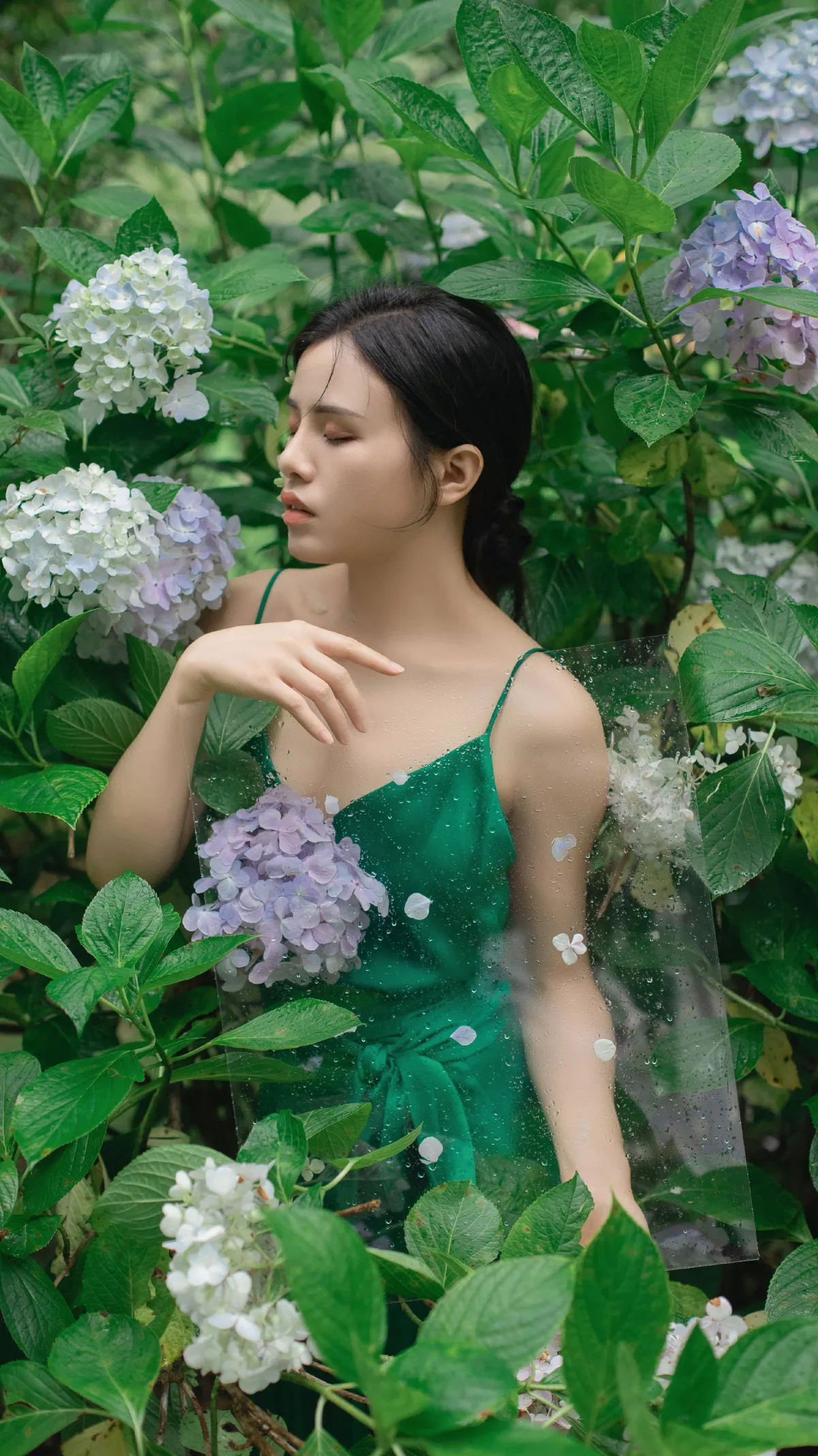 青陵_安妮《无尽夏》美图作品图片1