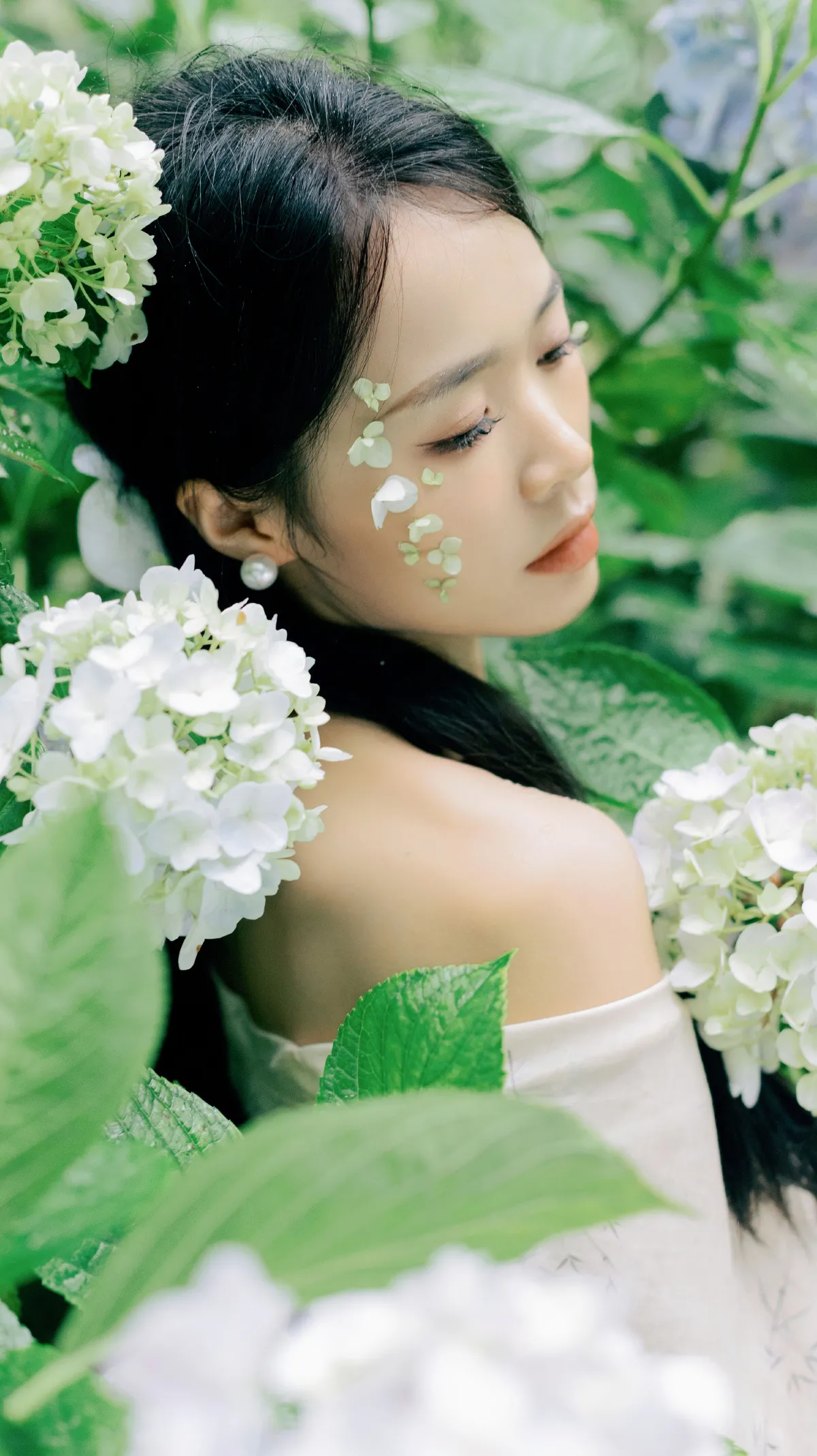 山间绣球花正开1