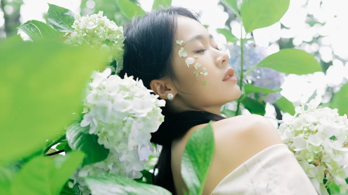 山间绣球花正开2