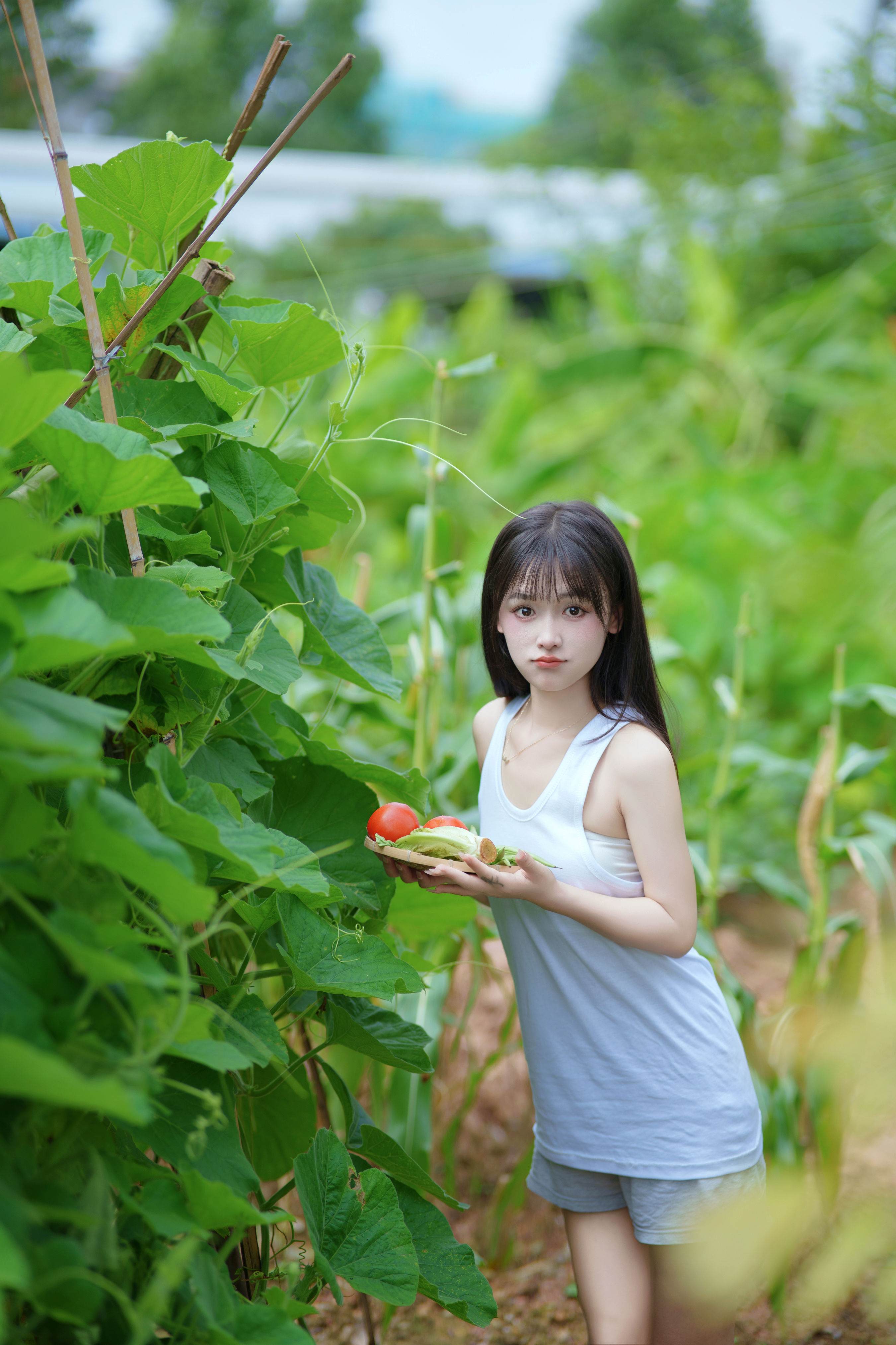 西瓜味的夏天