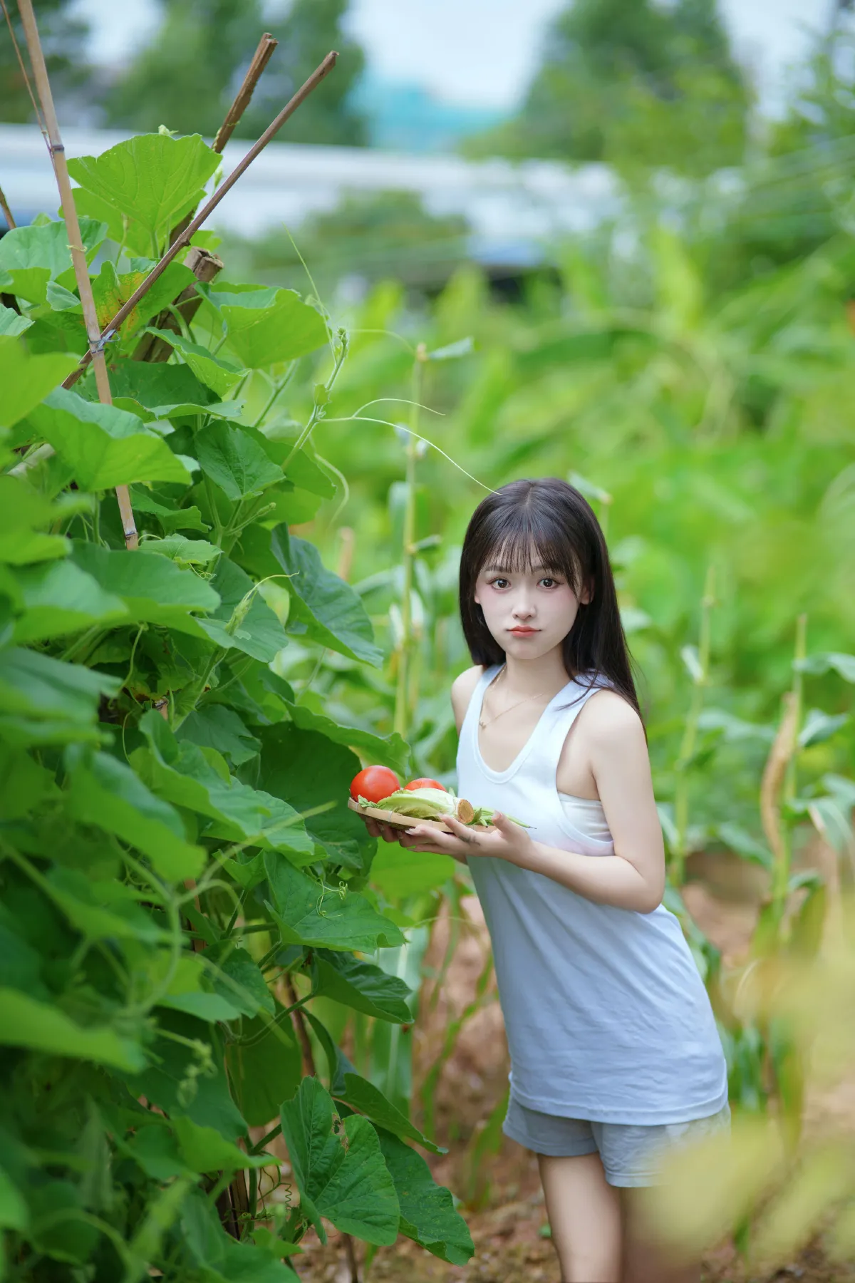 西瓜味的夏天