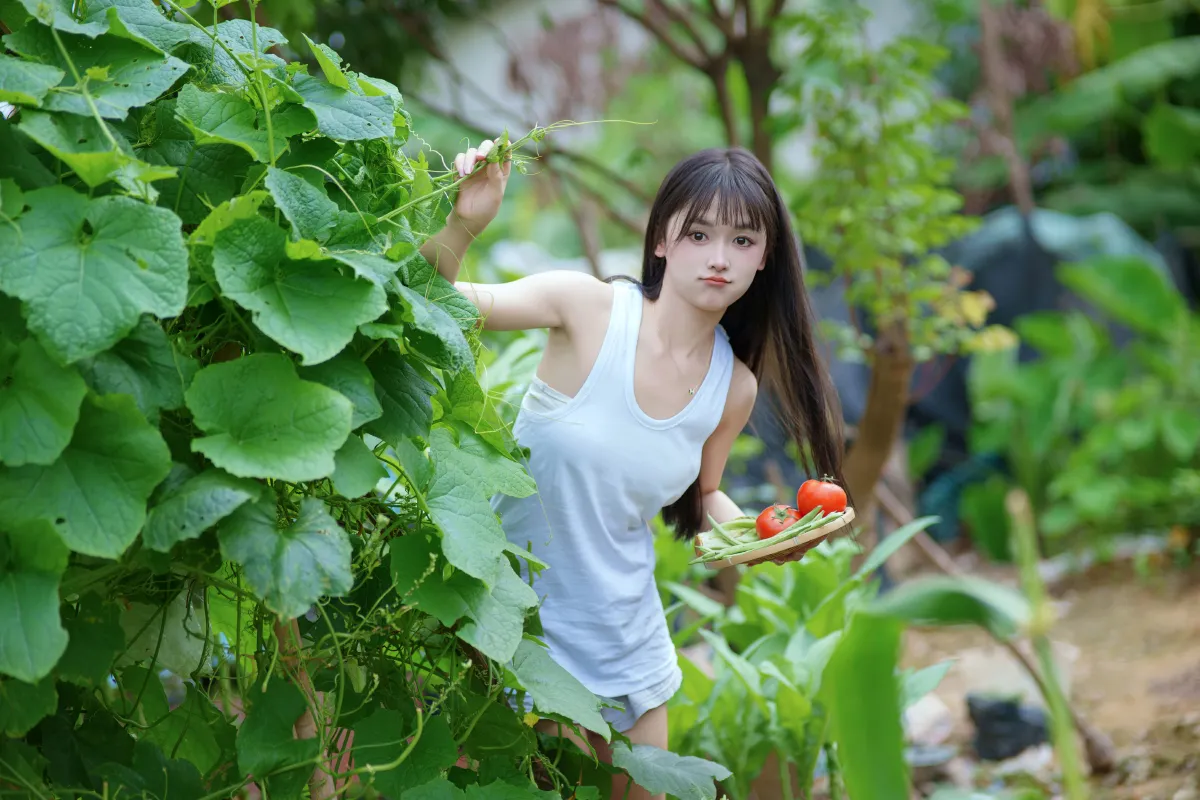 西瓜味的夏天