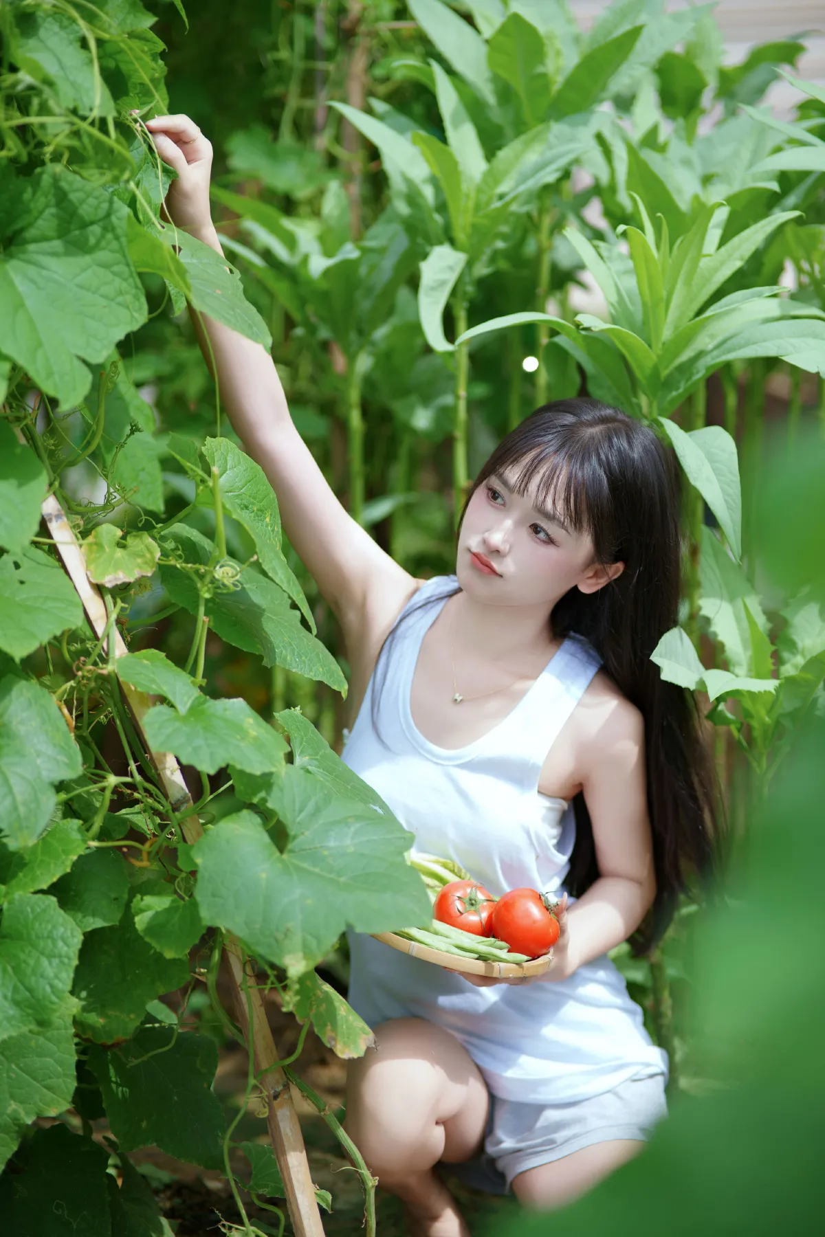 西瓜味的夏天