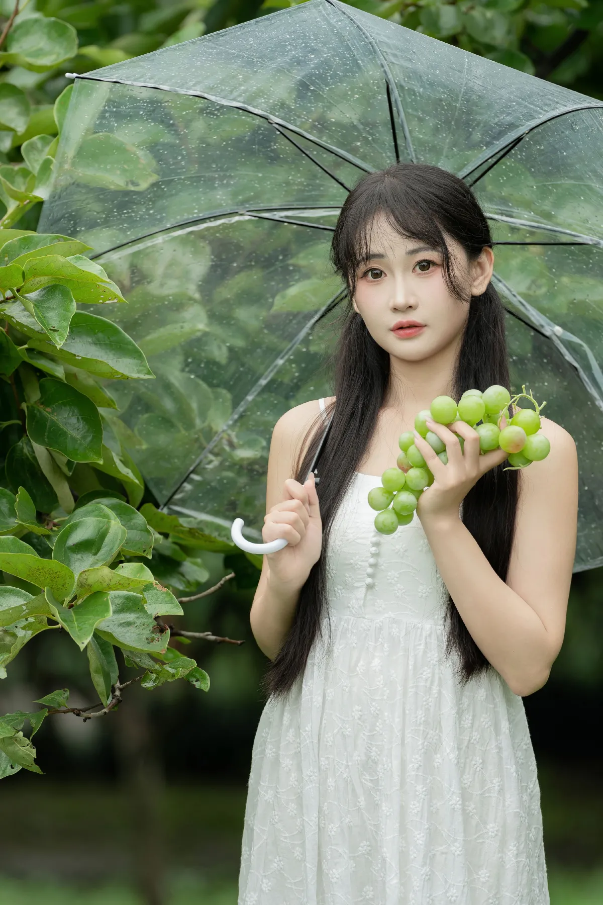 青提夏日1