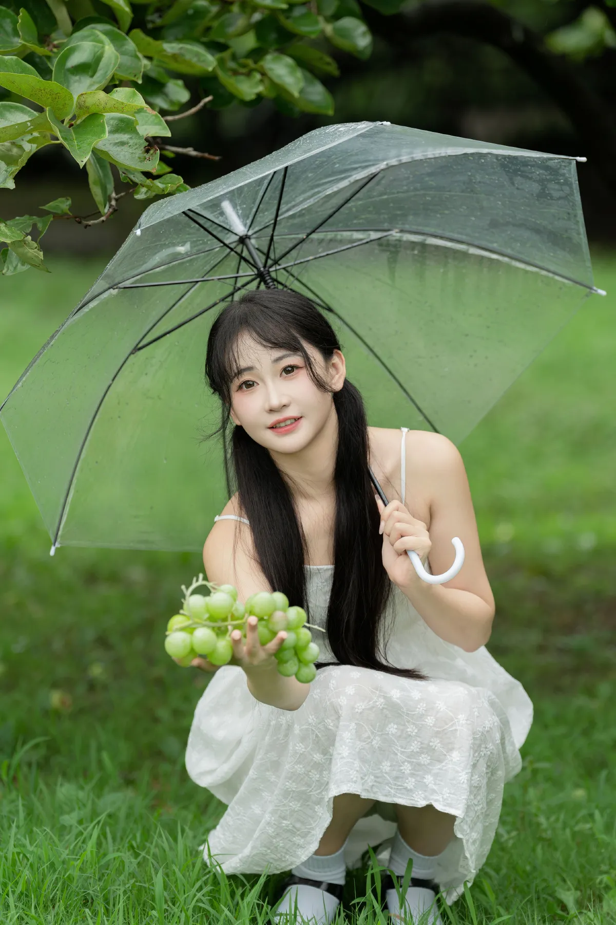 青提夏日2