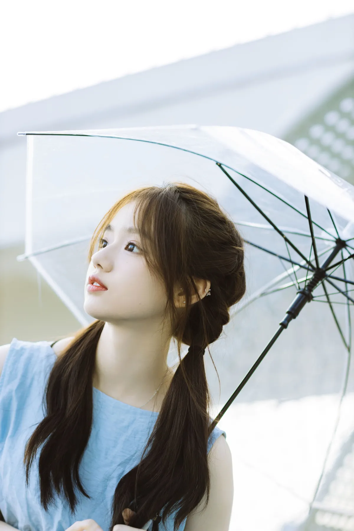 天台夏日