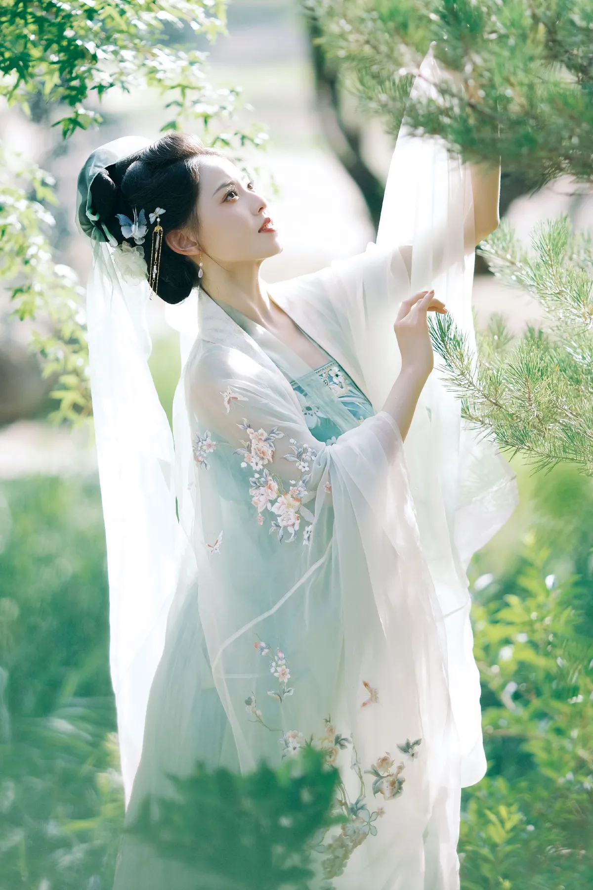 喜晴