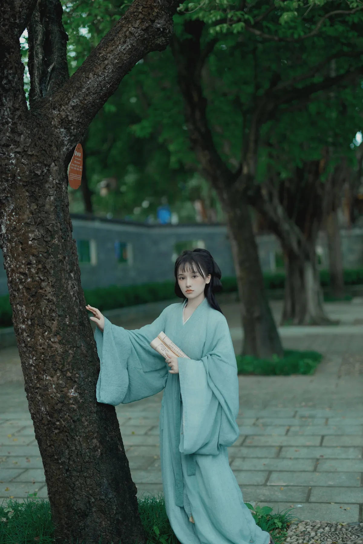 踏青风明月1