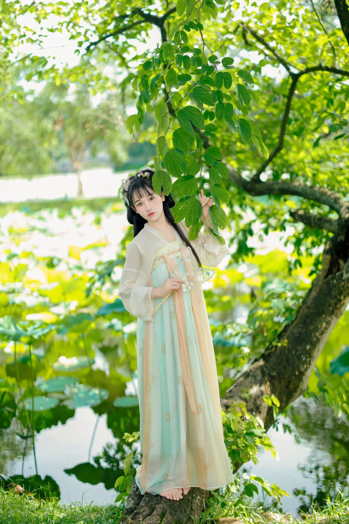 清晨_小小雨《日落跌进昭昭星野》美图作品图片1