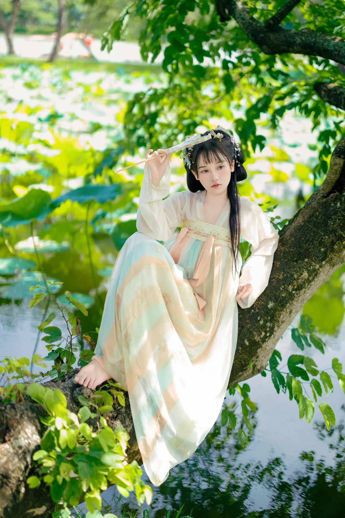清晨_小小雨《日落跌进昭昭星野》美图作品图片5
