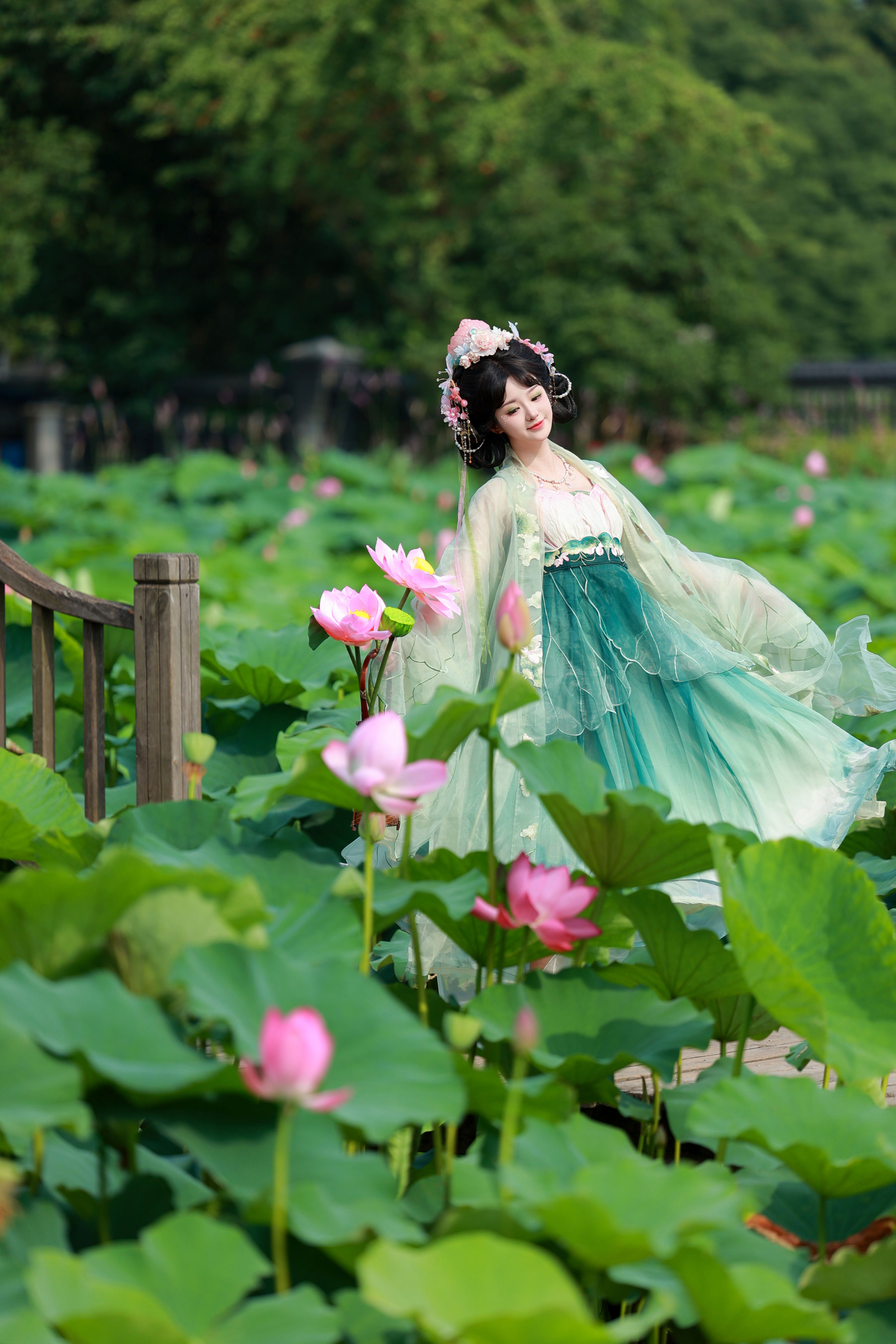 十里芙蕖