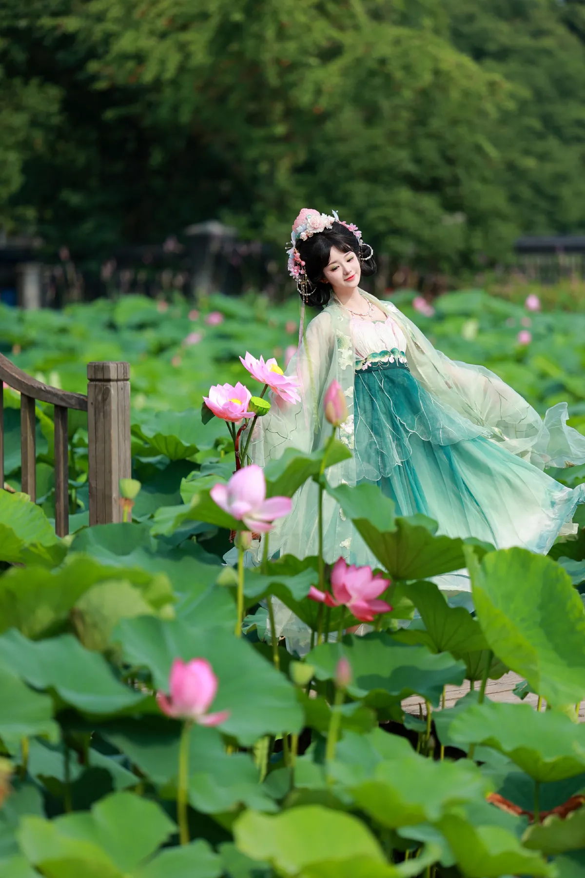 荷叶叶_不可爱的禾禾喵《十里芙蕖》美图作品图片1