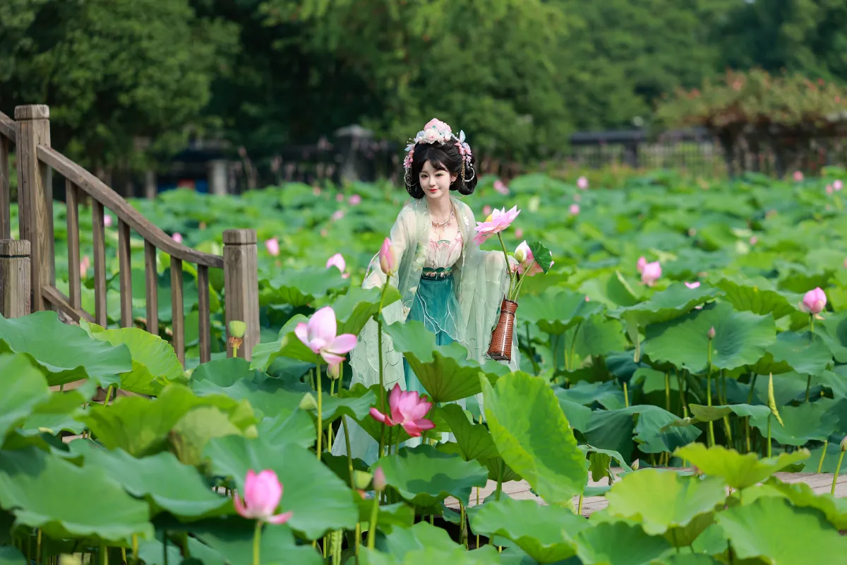 十里芙蕖
