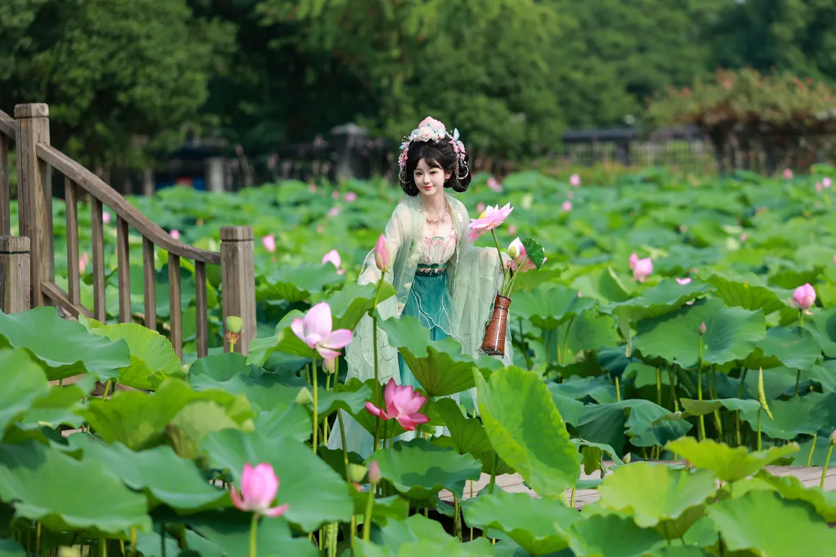 荷叶叶_不可爱的禾禾喵《十里芙蕖》美图作品图片2
