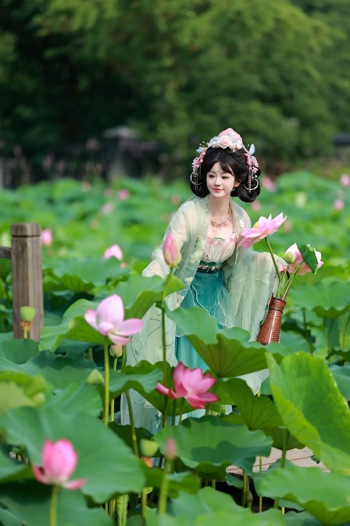 荷叶叶_不可爱的禾禾喵《十里芙蕖》美图作品图片3