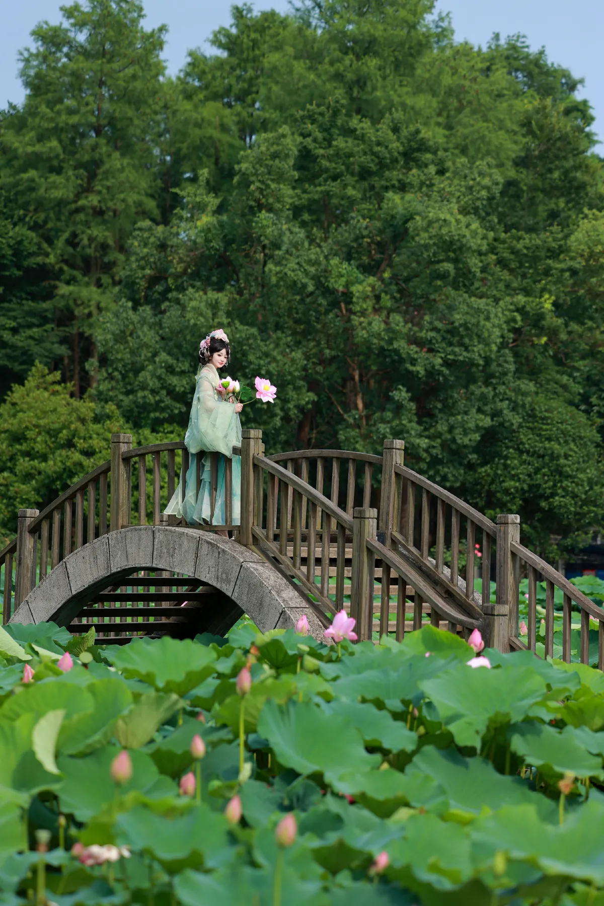 荷叶叶_不可爱的禾禾喵《十里芙蕖》美图作品图片5