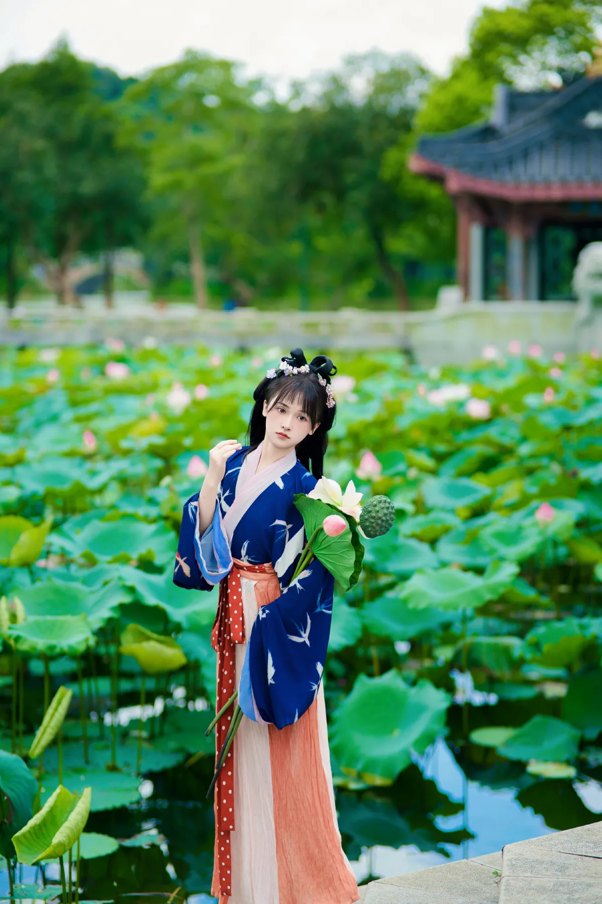 珍朝夕 盼永久4