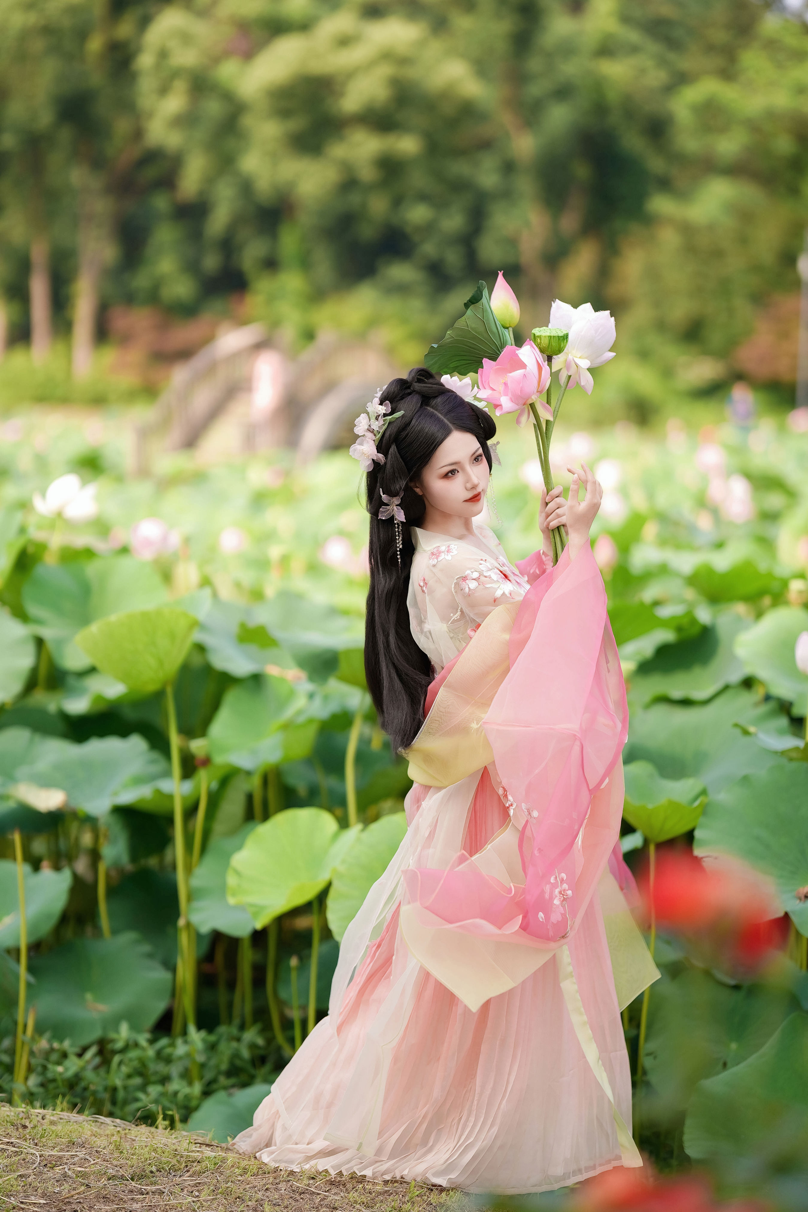 误入藕花深处