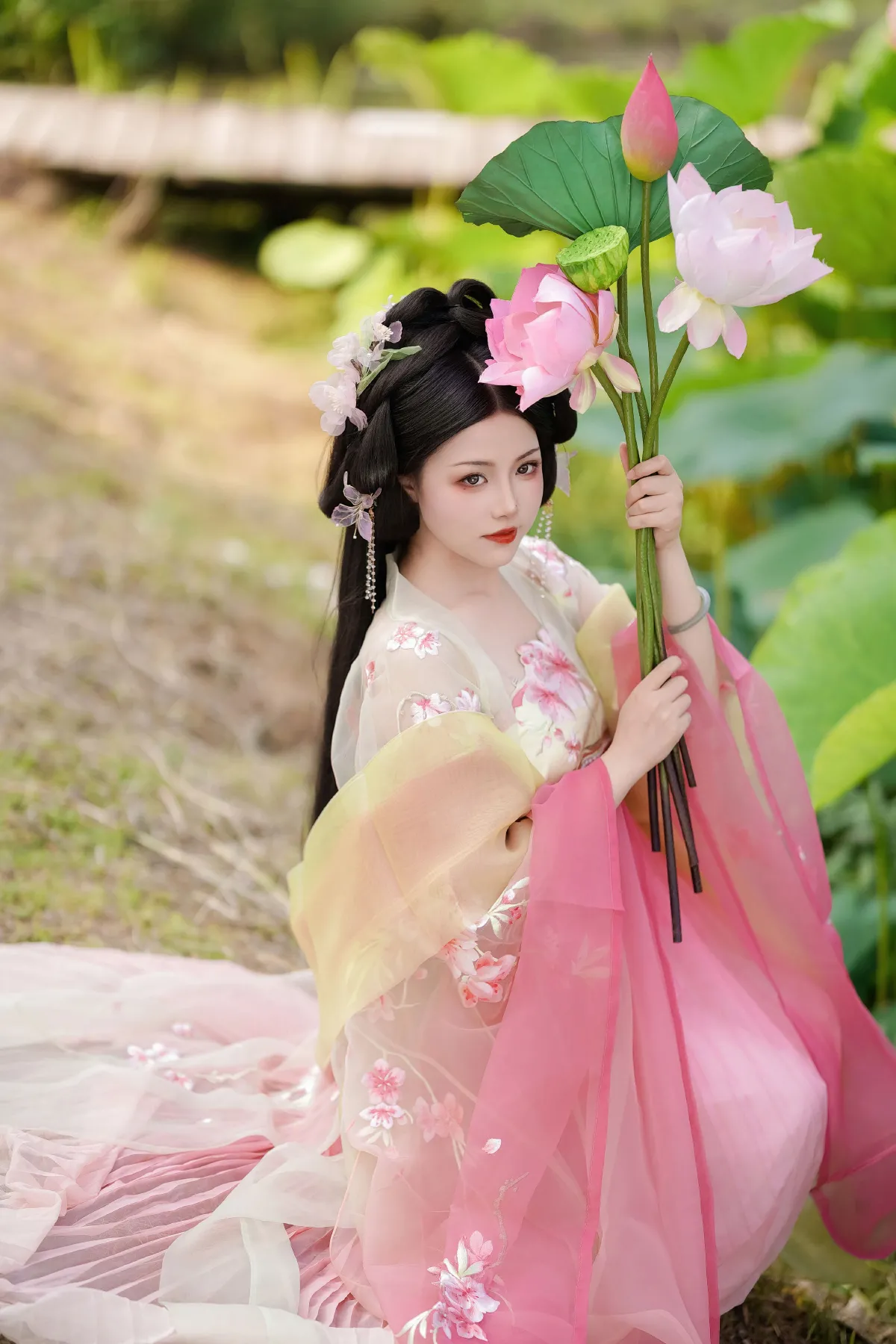 误入藕花深处