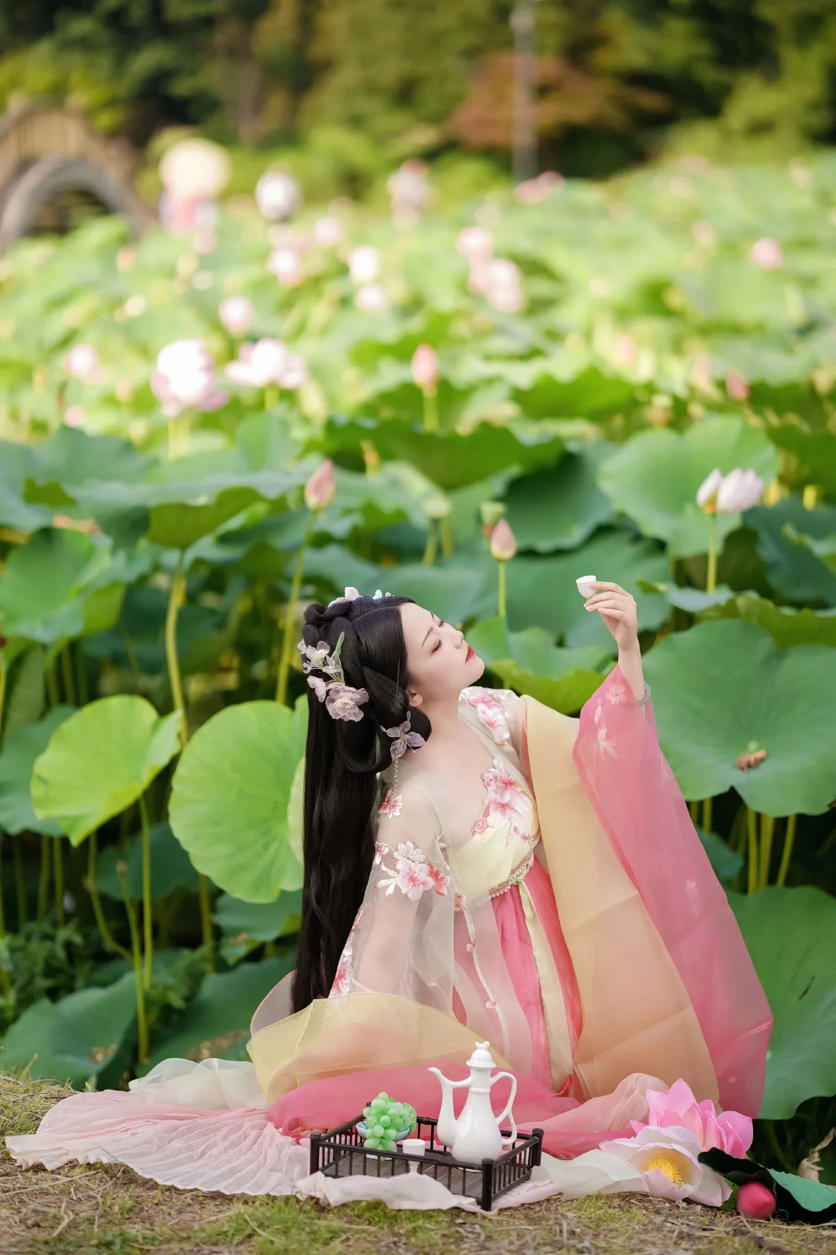 误入藕花深处