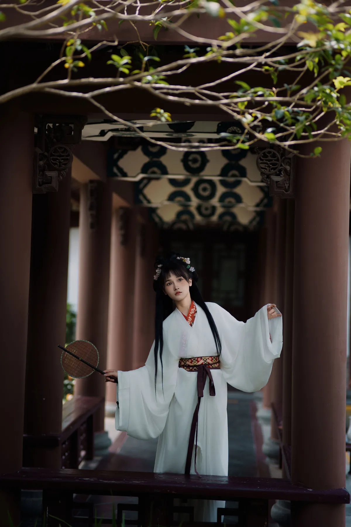 衣襟带花 岁月风平