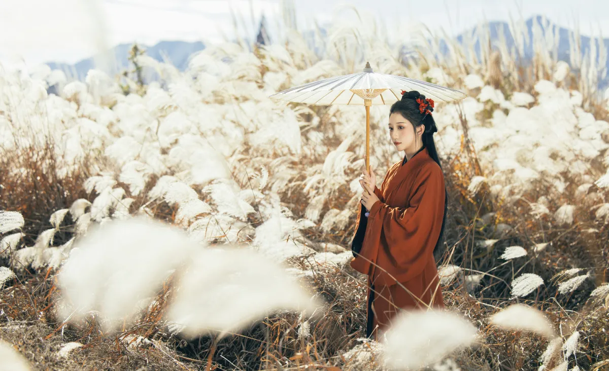 只身赴关山1