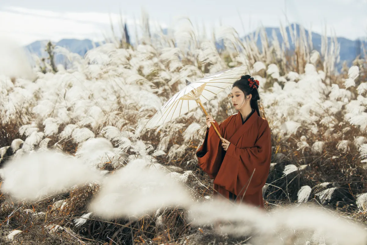 只身赴关山2