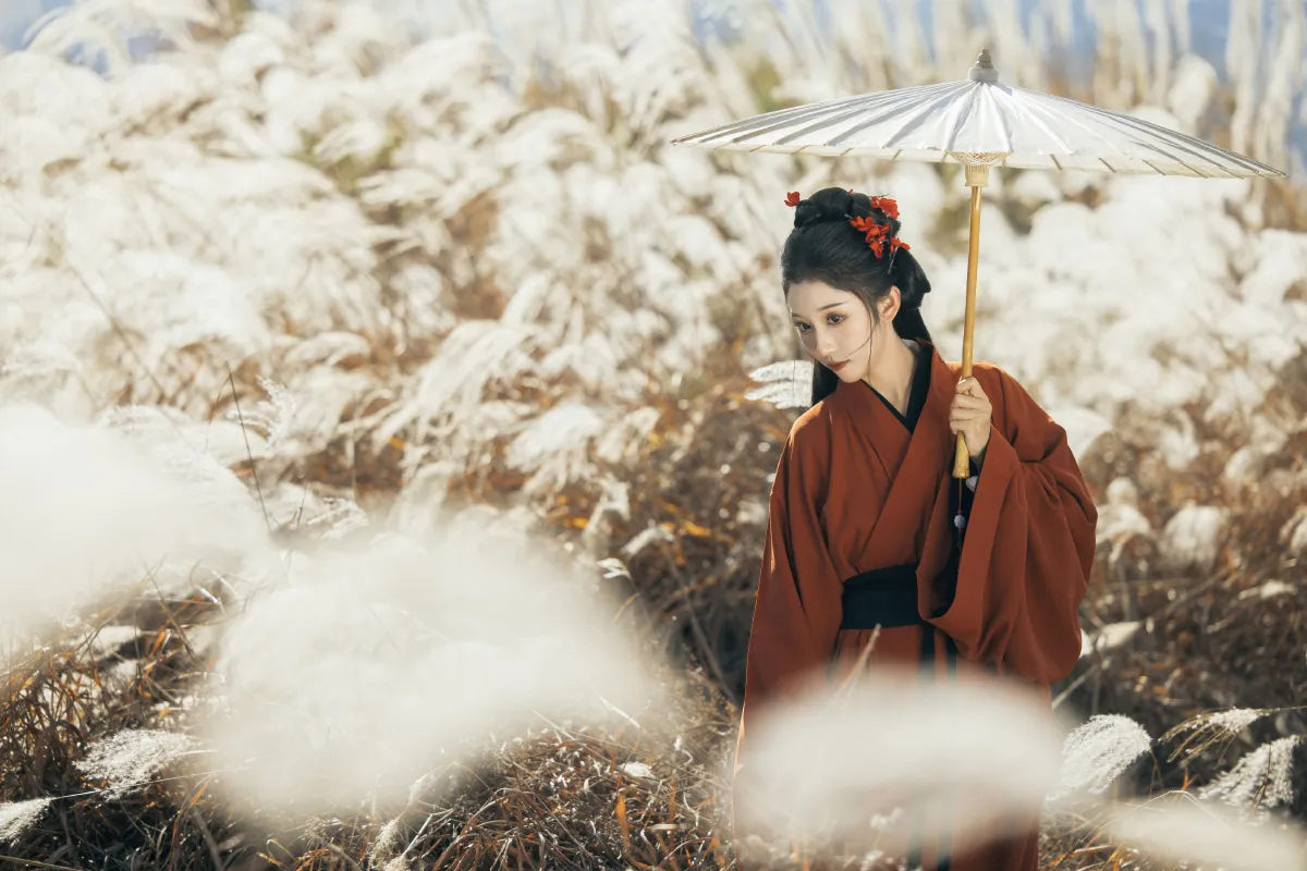 只身赴关山