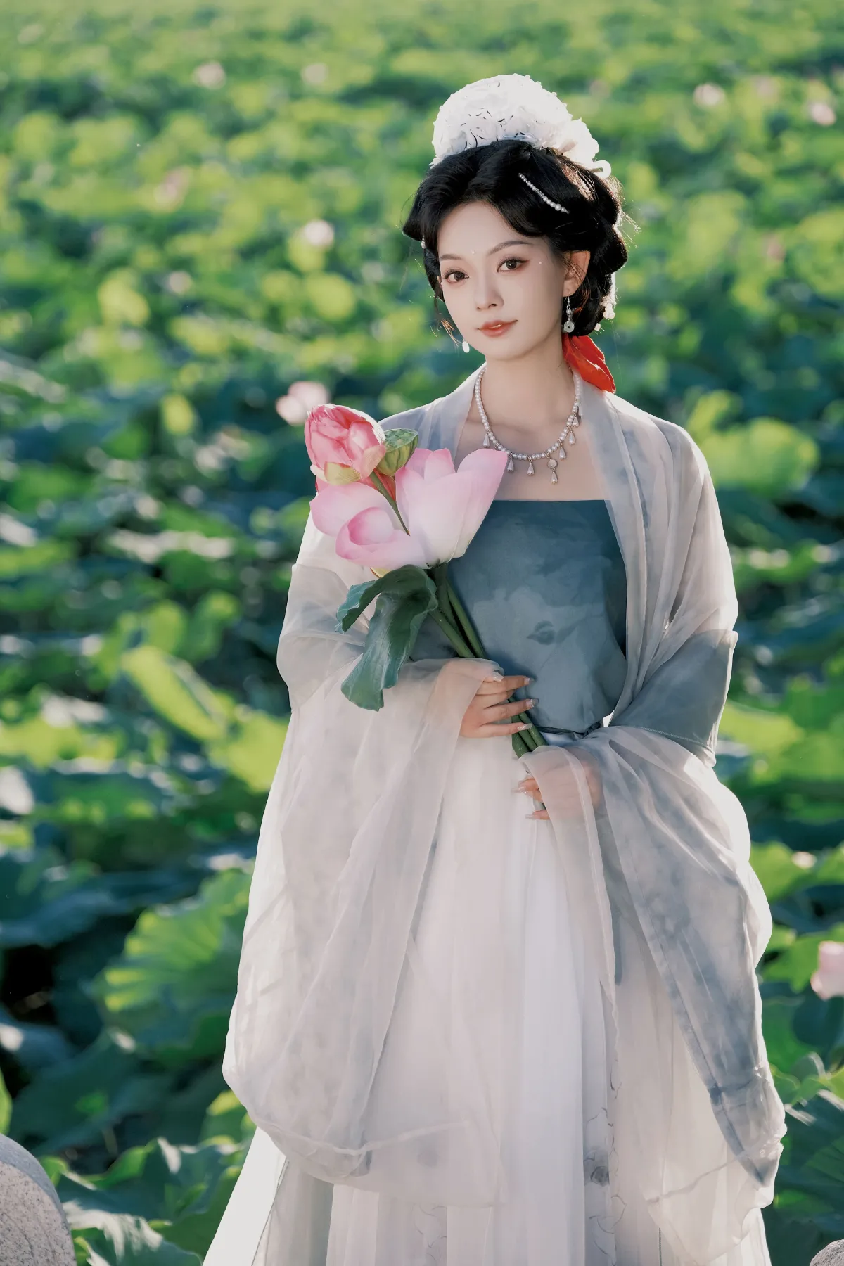 鸦青_秋咪睡大觉《夏荷》美图作品图片5