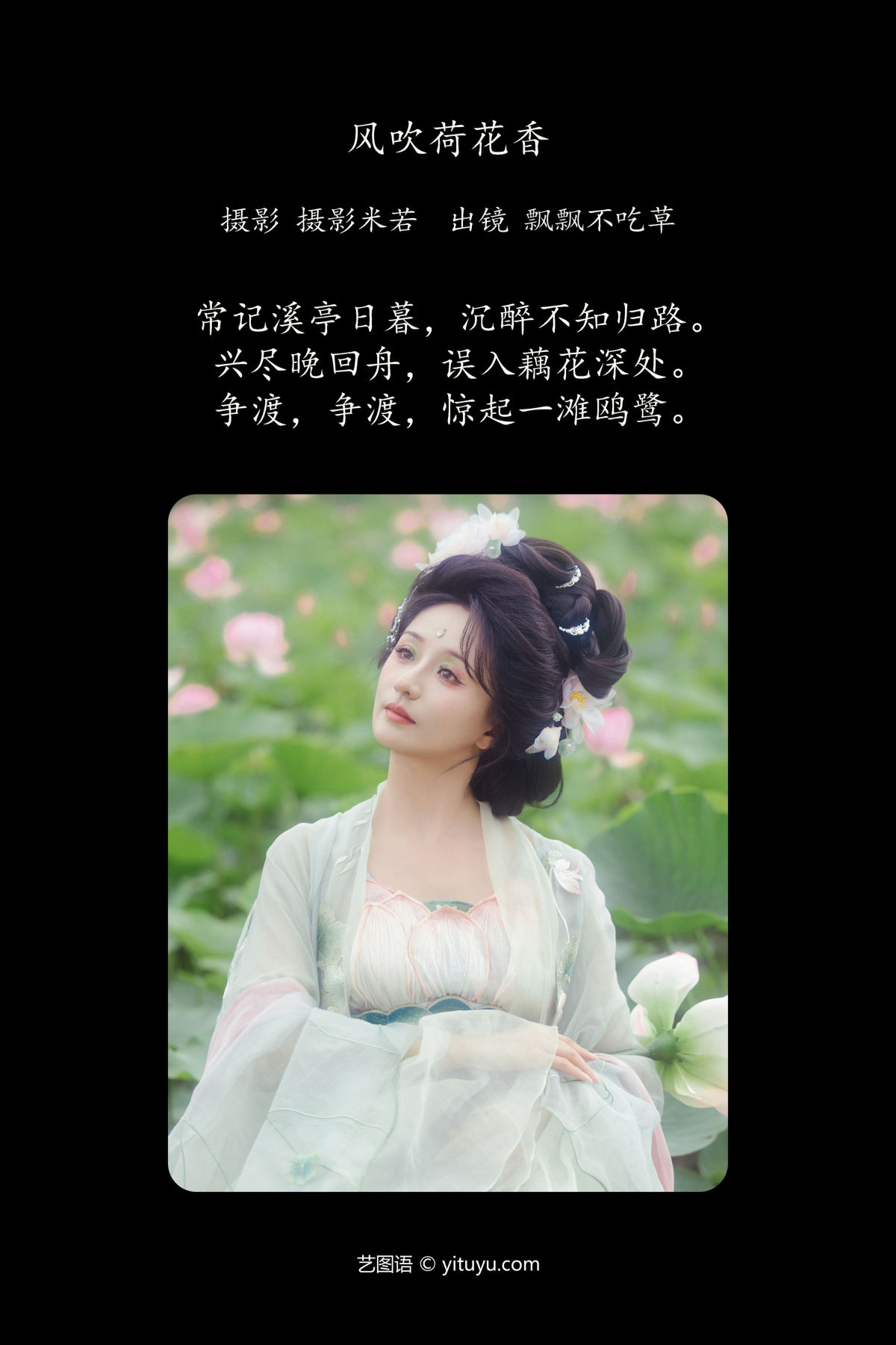 摄影米若_飘飘不吃草《风吹荷花香》美图作品图片2