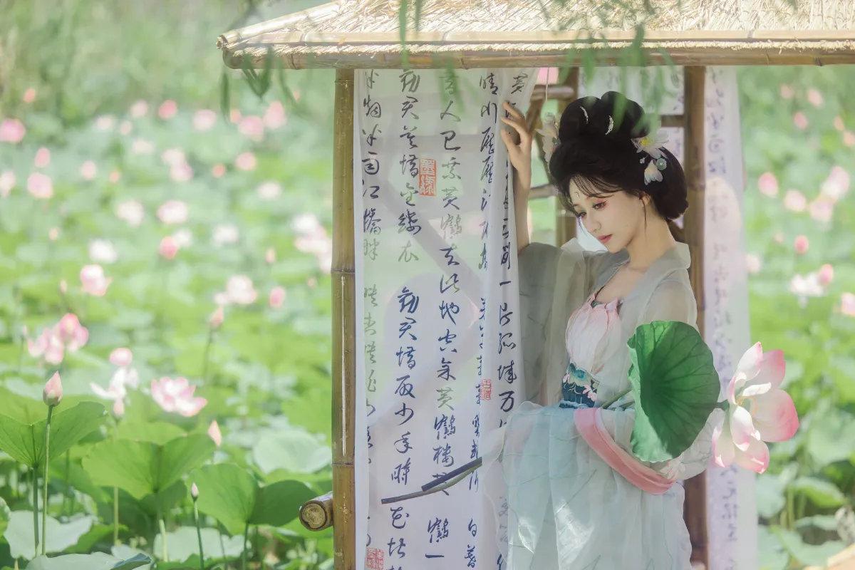 风吹荷花香3