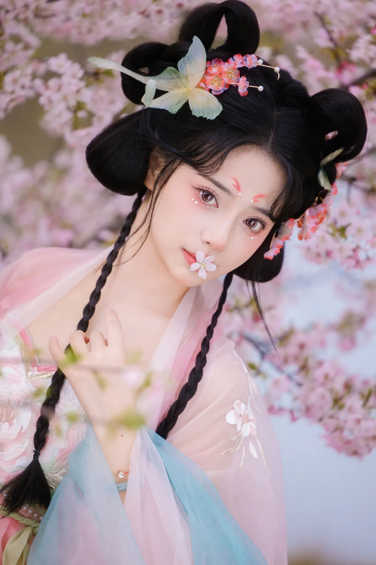 赏樱