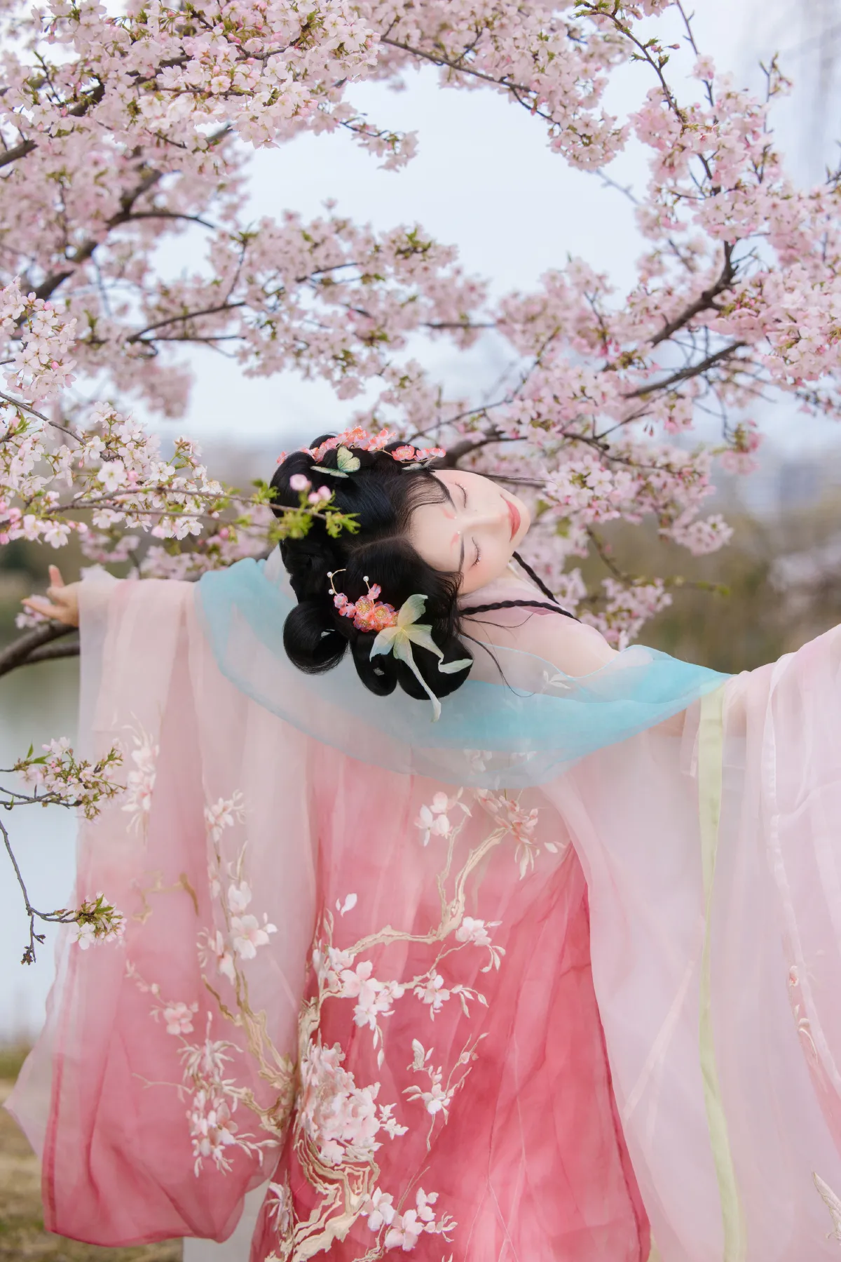 赏樱2