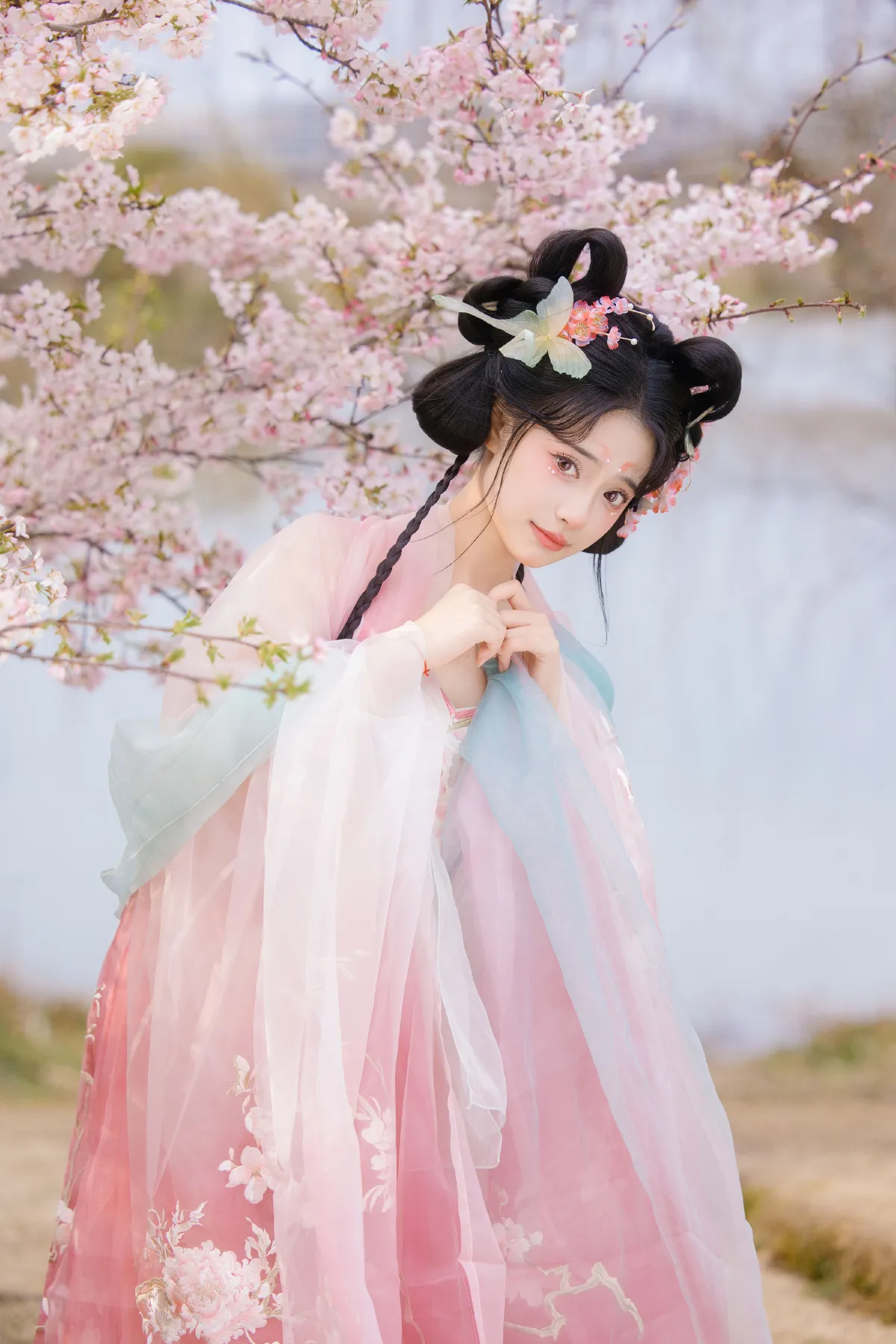 赏樱