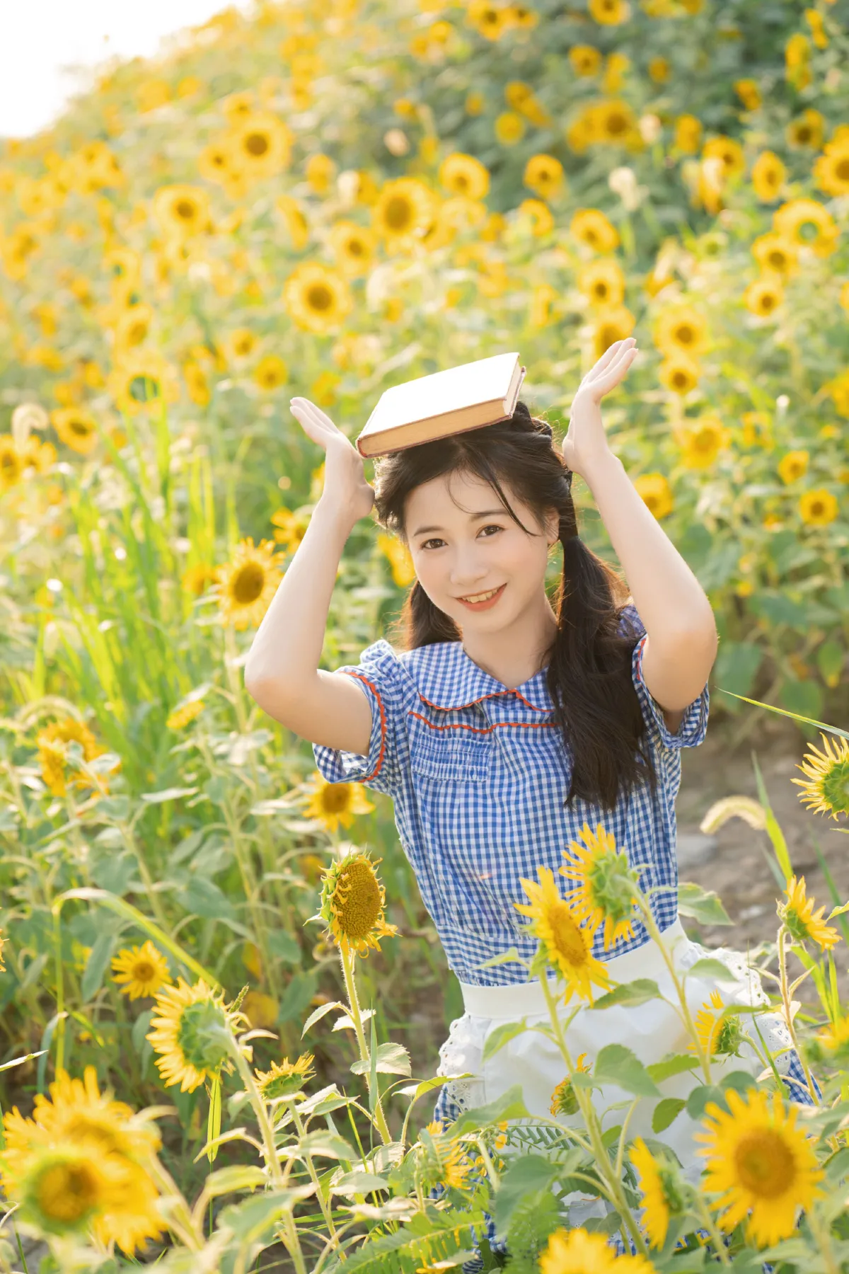 和向日葵一样明媚