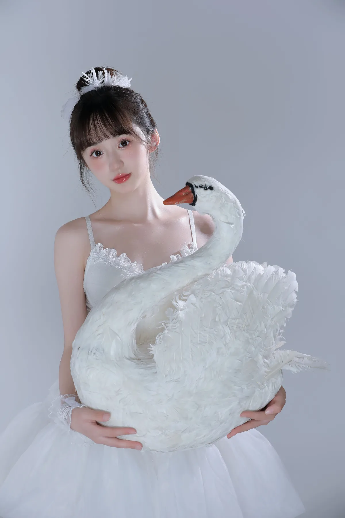 白天鹅1