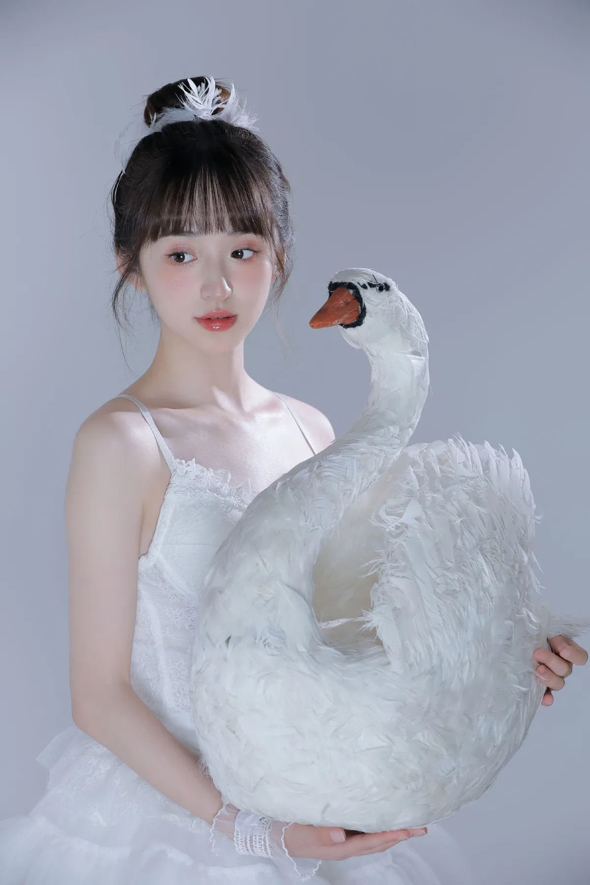 白天鹅2