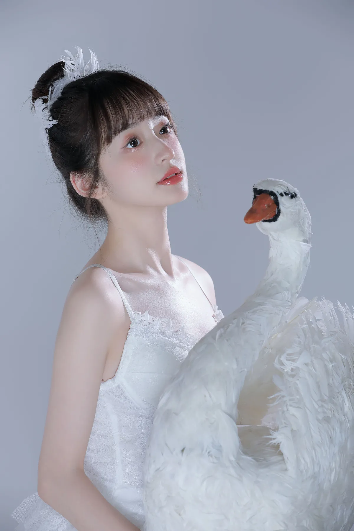 白天鹅3