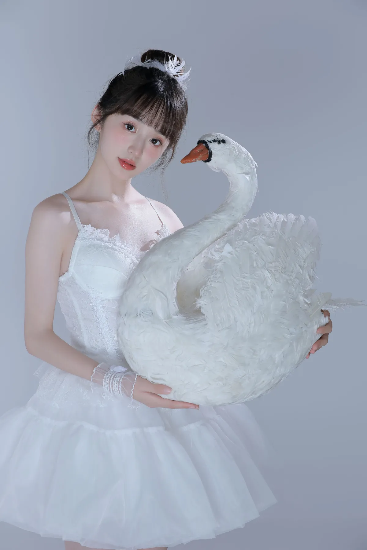 白天鹅