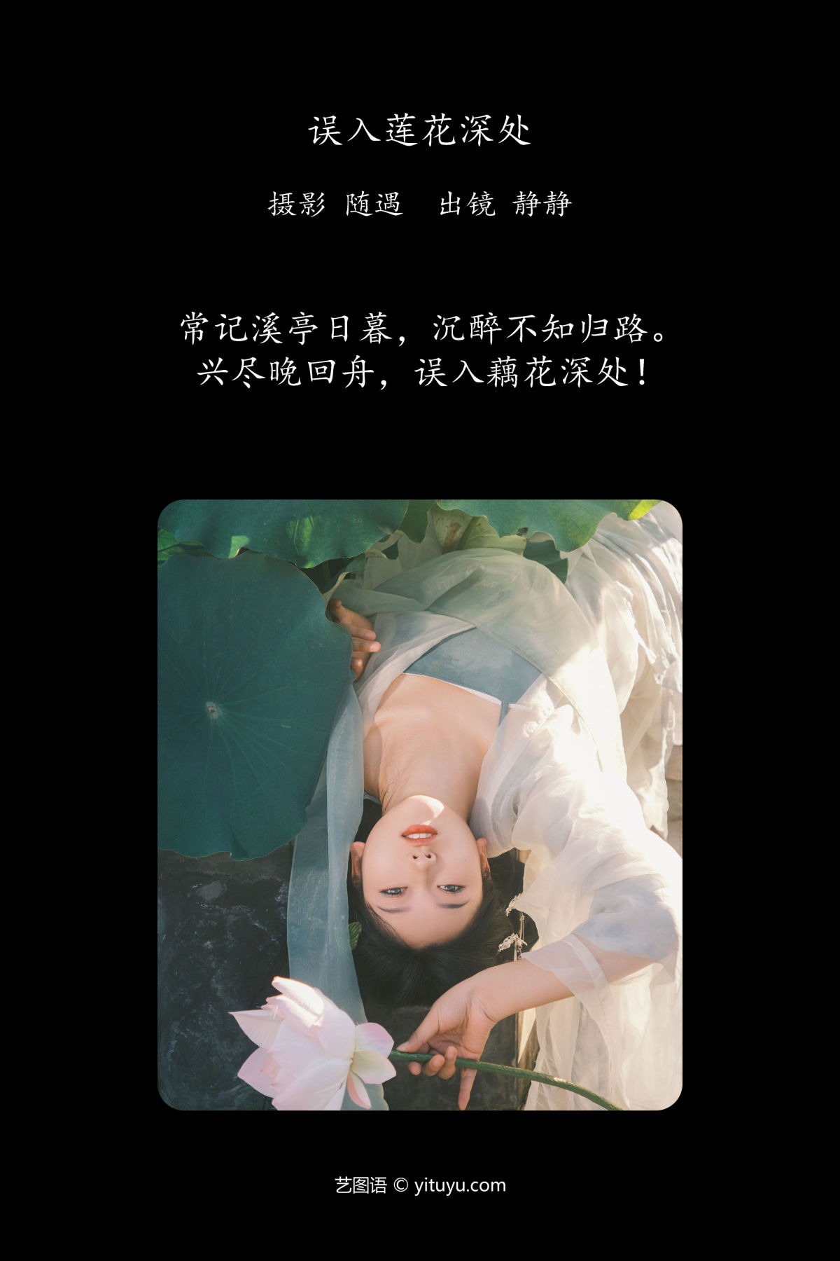 随遇_静静《误入莲花深处》美图作品图片2