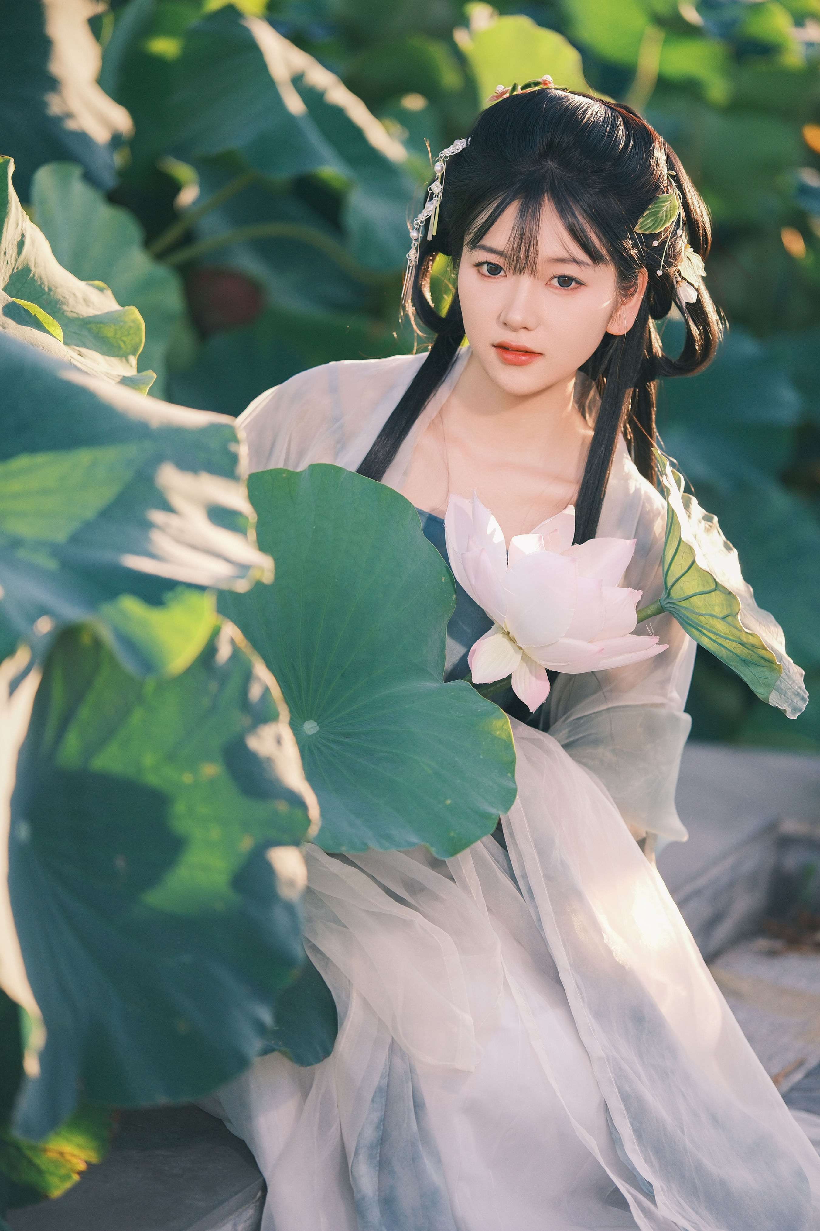 误入莲花深处