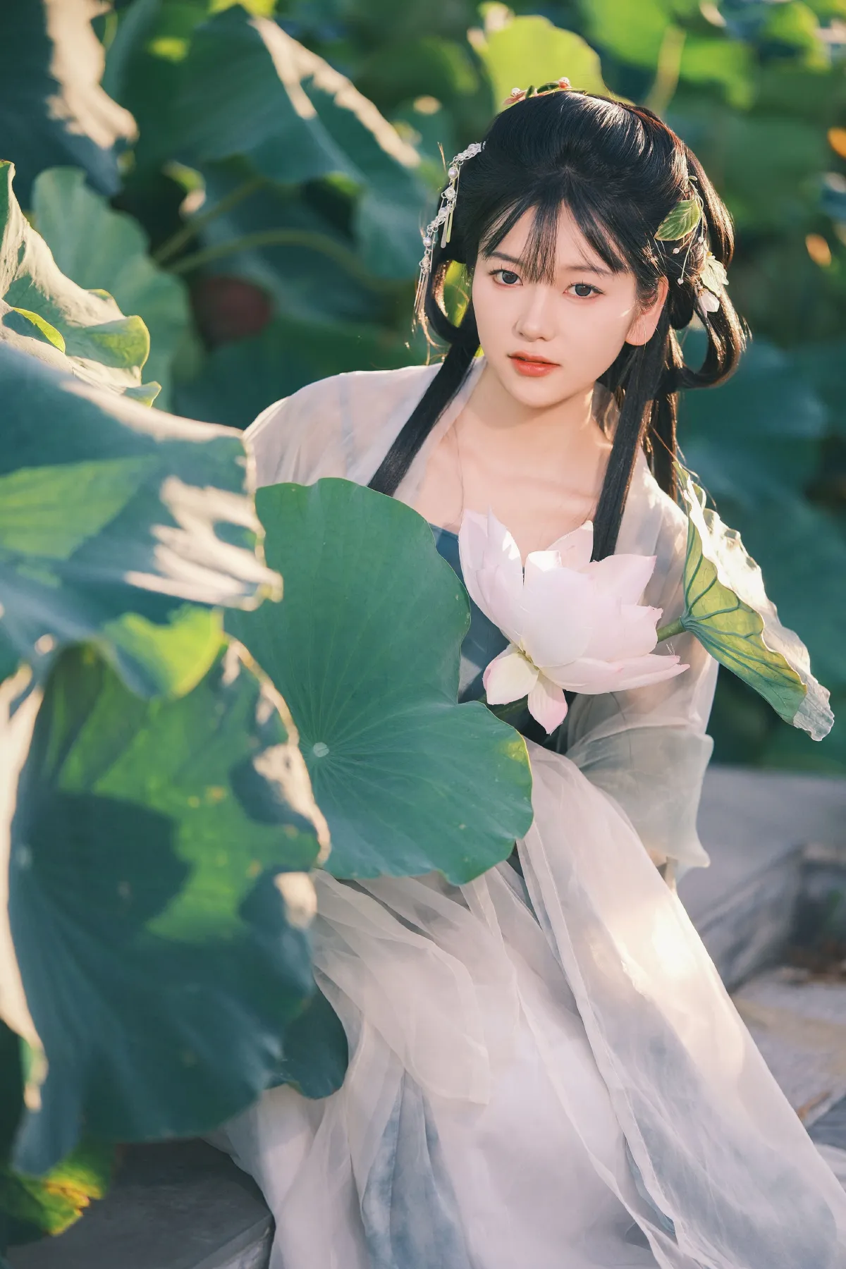 误入莲花深处