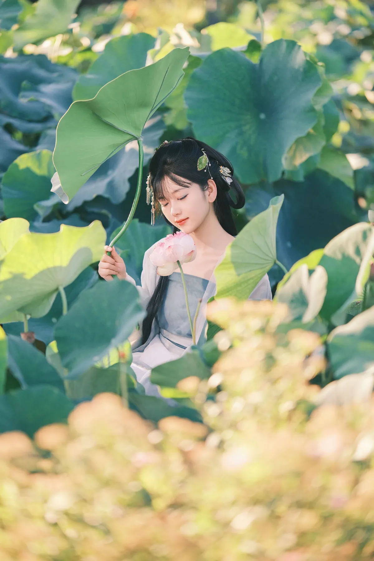 误入莲花深处