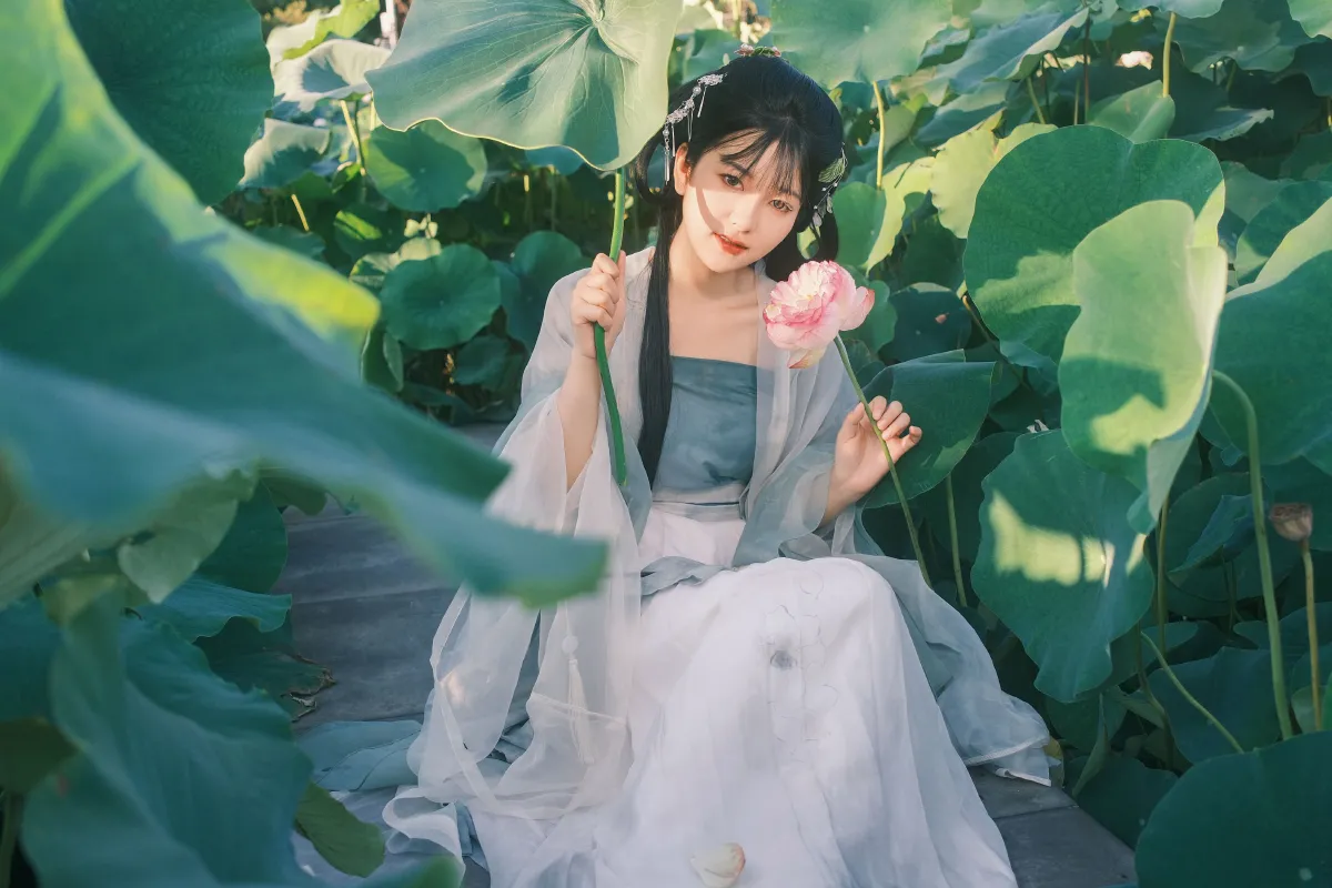 误入莲花深处