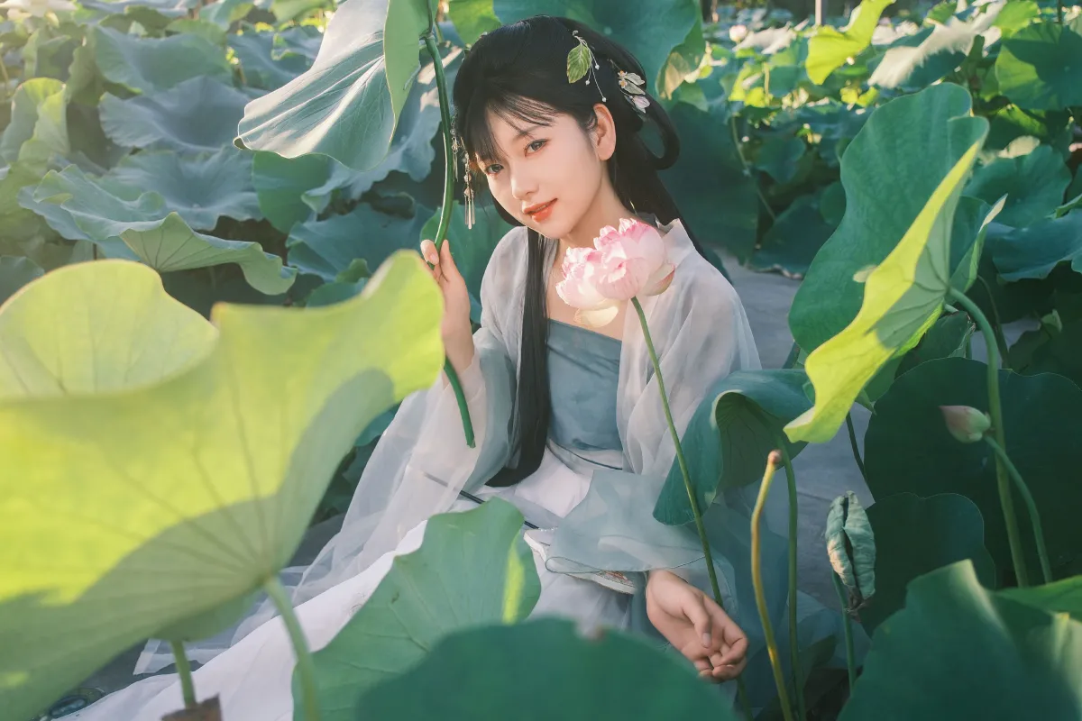 误入莲花深处