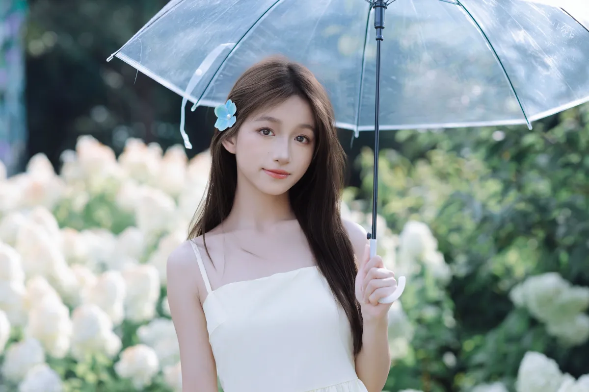 夏日绣球1