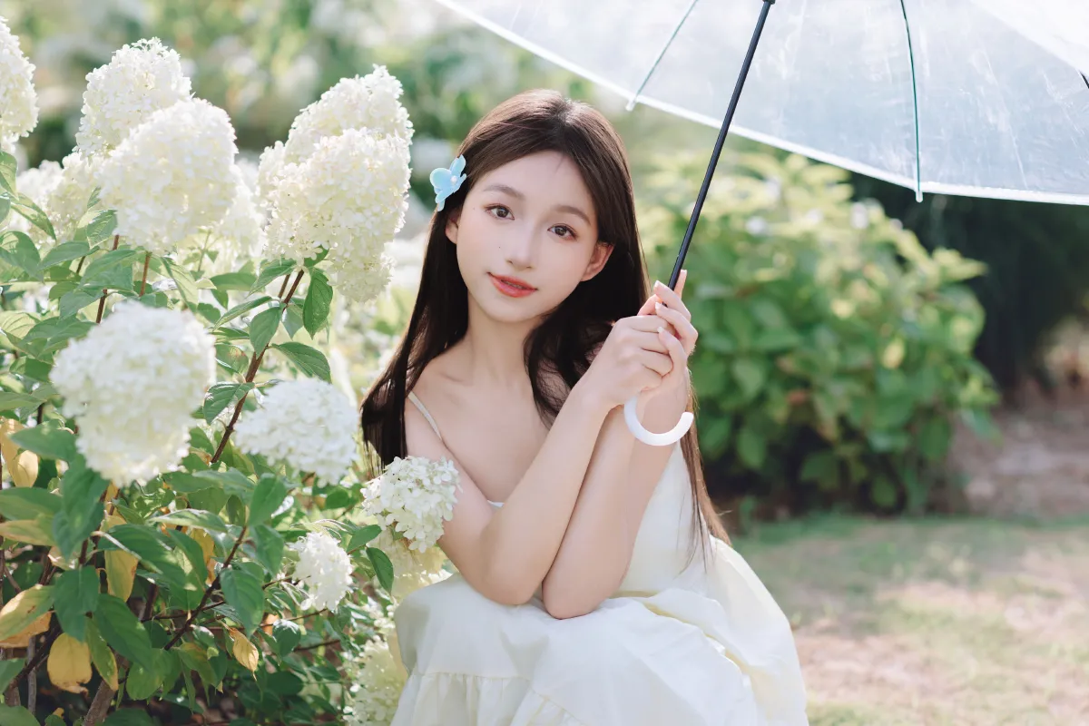 夏日绣球3